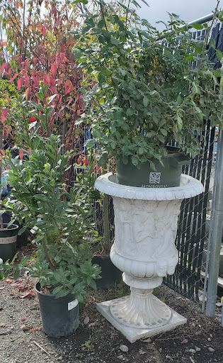 Hardware Store «Lakewood Hardware & Paint, Inc», reviews and photos, 9020 Lakewood Dr SW, Lakewood, WA 98499, USA