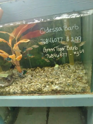 Pet Groomer «Grove City Agway & Pets», reviews and photos, 111 Breckenridge St, Grove City, PA 16127, USA