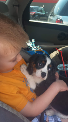 Department Store «Rural King», reviews and photos, 23625 US-23, Circleville, OH 43113, USA