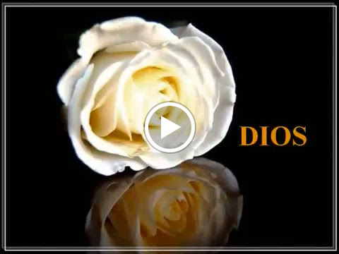 2835 20th St, Vero Beach, FL 32960, USA