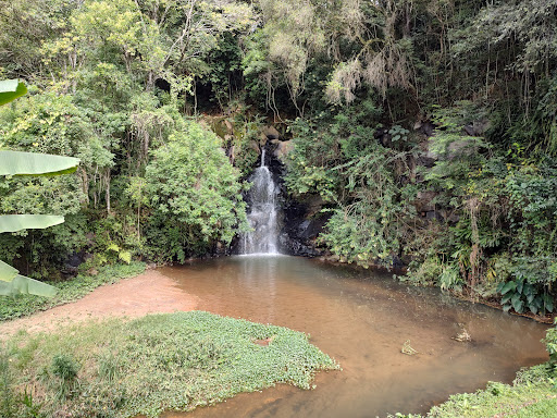 Reserva natural Curitiba