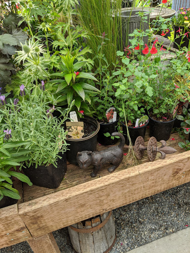 Plant Nursery «Pine Creek Nursery», reviews and photos, 23225 Sofie Rd, Monroe, WA 98272, USA