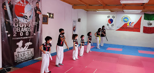 Black Tiger,s Taekwon-Do De La Rosa - Calle Gutiérrez 1214, Colonia Viveros, 88070 Nuevo Laredo, Tamps., Mexico