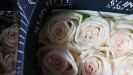 Florist «The Flower Place», reviews and photos, 860 NE 79th St, Miami, FL 33138, USA