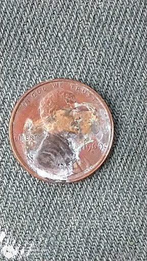 Department Store «Walmart Supercenter», reviews and photos, 7625 Doering Dr, Florence, KY 41042, USA