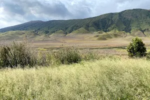 Teletubbies Hill Bromo image