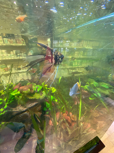 Pet Store «Critter Cabana», reviews and photos, 516 E 1st St, Newberg, OR 97132, USA