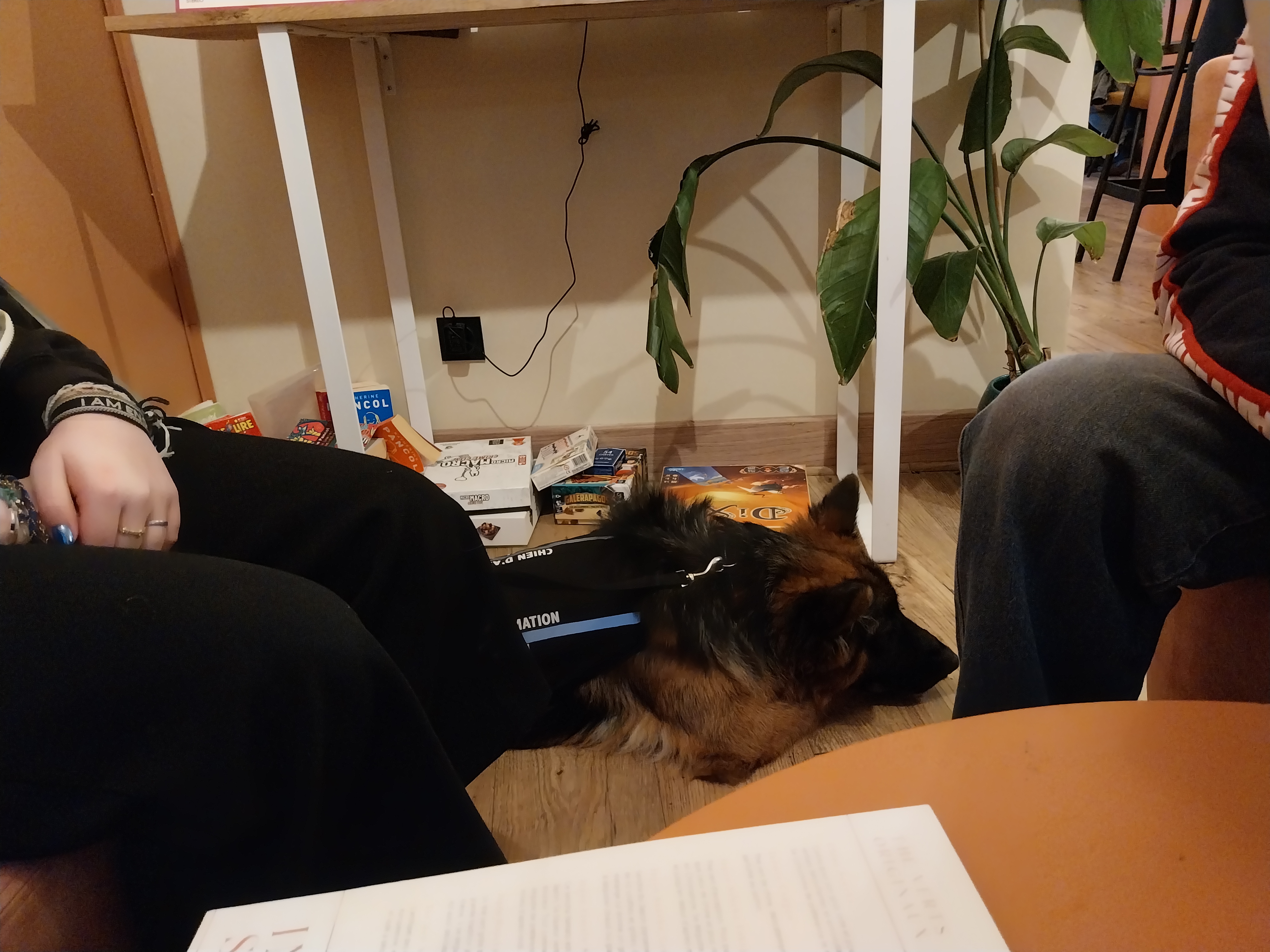 Photo n° 3 de l'avis de Stany.o fait le 03/02/2024 à 21:04