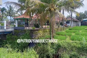 Putri Duyung Guest House image