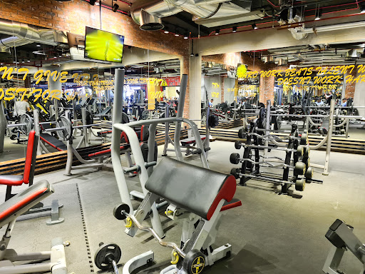 Low cost gyms in Cairo