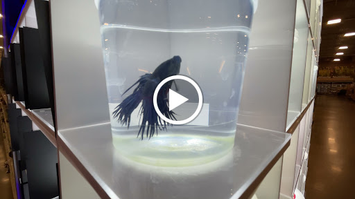 Pet Supply Store «PetSmart», reviews and photos, 860 Cobb Pl Blvd NW, Kennesaw, GA 30144, USA