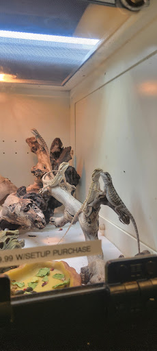 Pet Store «Olathe Pet Shop», reviews and photos, 16651 151st St, Olathe, KS 66062, USA