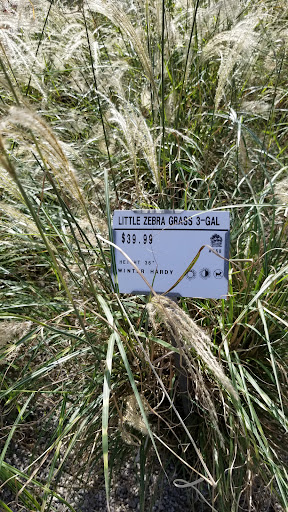 Plant Nursery «Guerin Nursery and Boutique», reviews and photos, 1418 Fall Creek Hwy, Granbury, TX 76049, USA