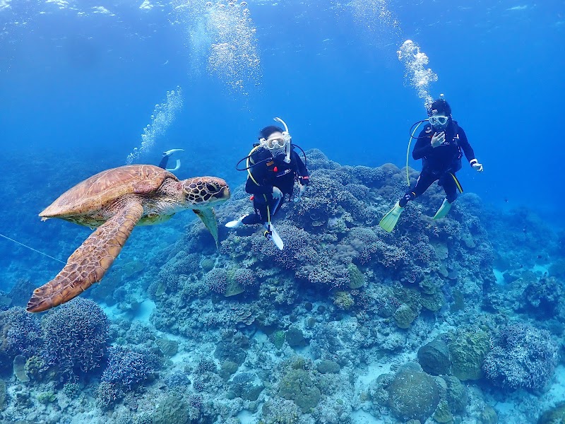 シーマックスダイビングクラブ沖縄 | 全国旅行支援クーポン対象 | 那覇 慶良間諸島 | 慶良間ダイビング ファンダイビング ダイビングライセンス