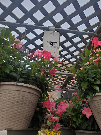 Home Improvement Store «The Home Depot», reviews and photos, 75-09 Woodhaven Blvd, Glendale, NY 11385, USA