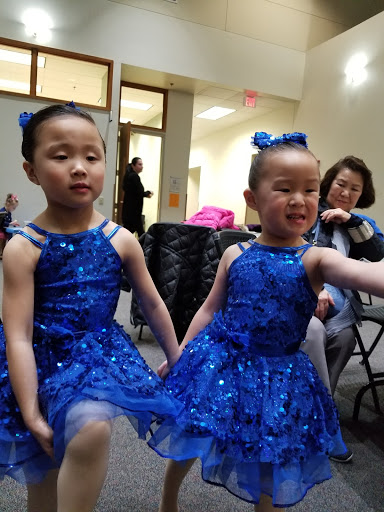 Performing Arts Theater «Buffalo Grove Park District Community Arts Center», reviews and photos, 225 McHenry Rd, Buffalo Grove, IL 60089, USA