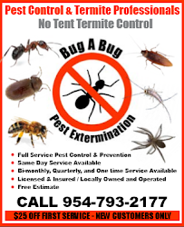 Bug A Bug Termite & Pest Extermination - Photo 5 - Car repair in , Fort Lauderdale