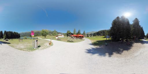 site_photo3