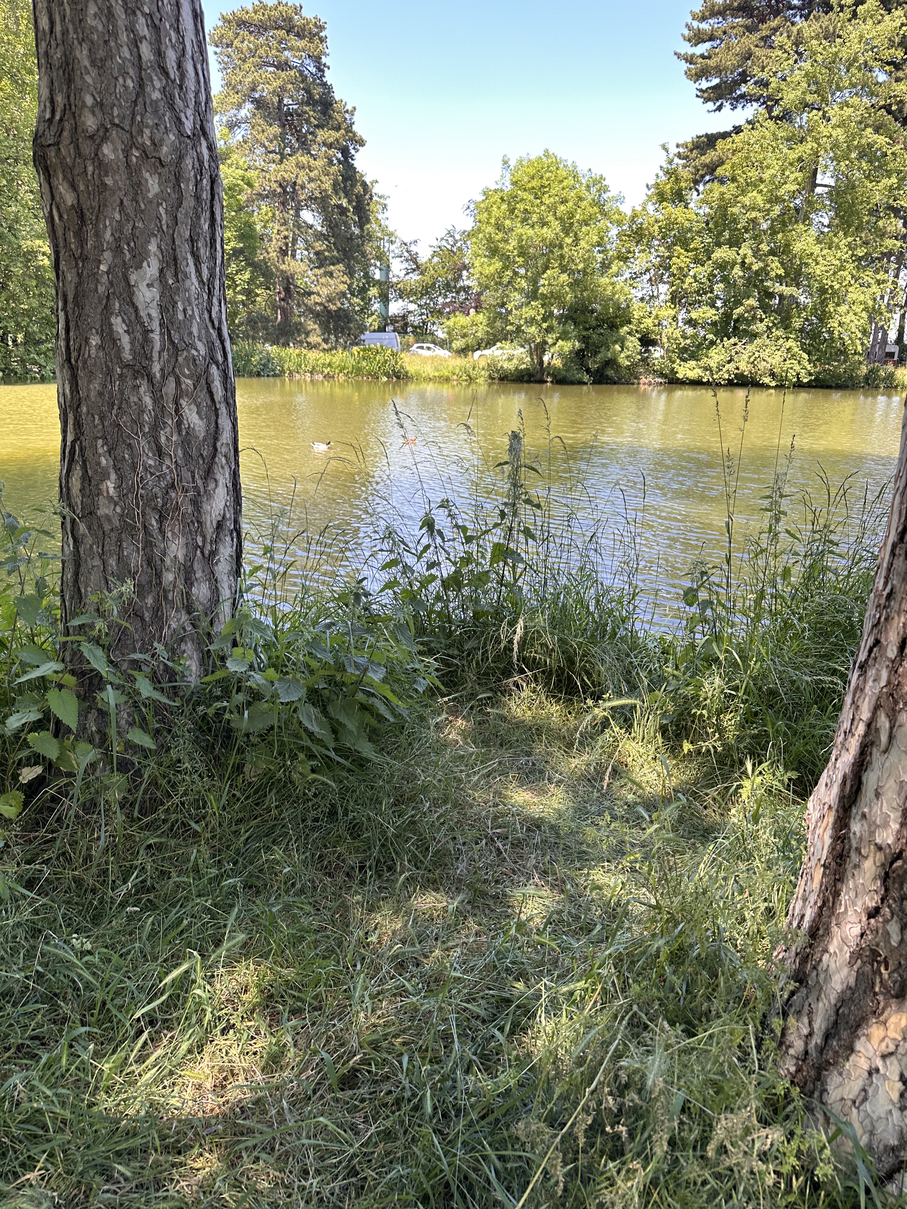 Photo n° 7 de l'avis de Rita.P fait le 08/06/2023 à 21:16