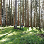 Photo n°2 de l'avis de Sheyla.o fait le 30/09/2020 à 13:46 sur le  Gasthof Etschblick à Mölten