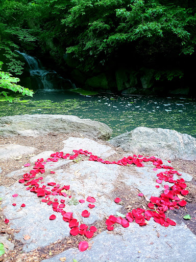 Park «The Loch», reviews and photos, Central Park West, New York, NY 10026, USA