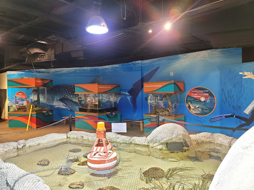 Print Shop «AlphaGraphics San Francisco Downtown», reviews and photos, 840 Sansome St, San Francisco, CA 94111, USA