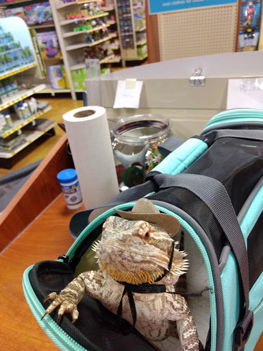 Shopping Mall «Northgate Mall Tullahoma», reviews and photos, 1600 N Jackson St, Tullahoma, TN 37388, USA