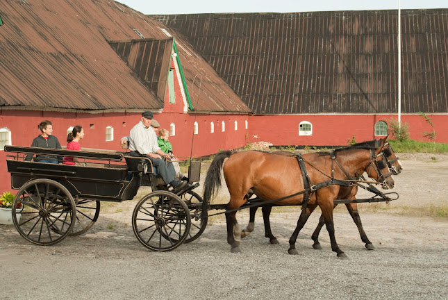 Telefonnummer for Holtegaard I/S v/ Bak & Olsen V/Frank Mølgård Olse