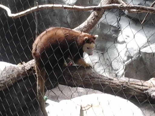 Gift Shop «Minnesota Zoo Gift Shop», reviews and photos, 13000 Zoo Blvd, Apple Valley, MN 55124, USA