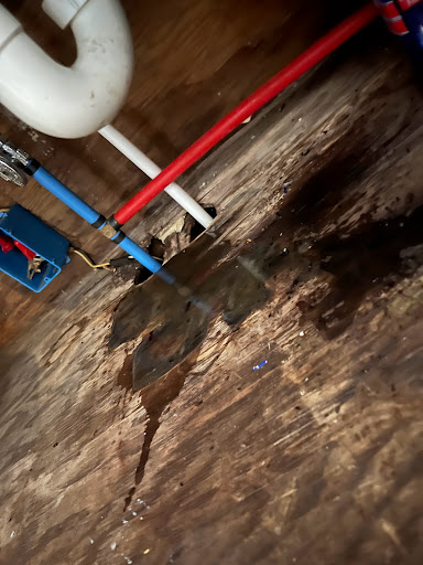 Home Improvement Store «Menards», reviews and photos, 2245 E 67th St, Anderson, IN 46013, USA