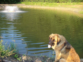 Rybářství Lískovec Ondřej Pecuch