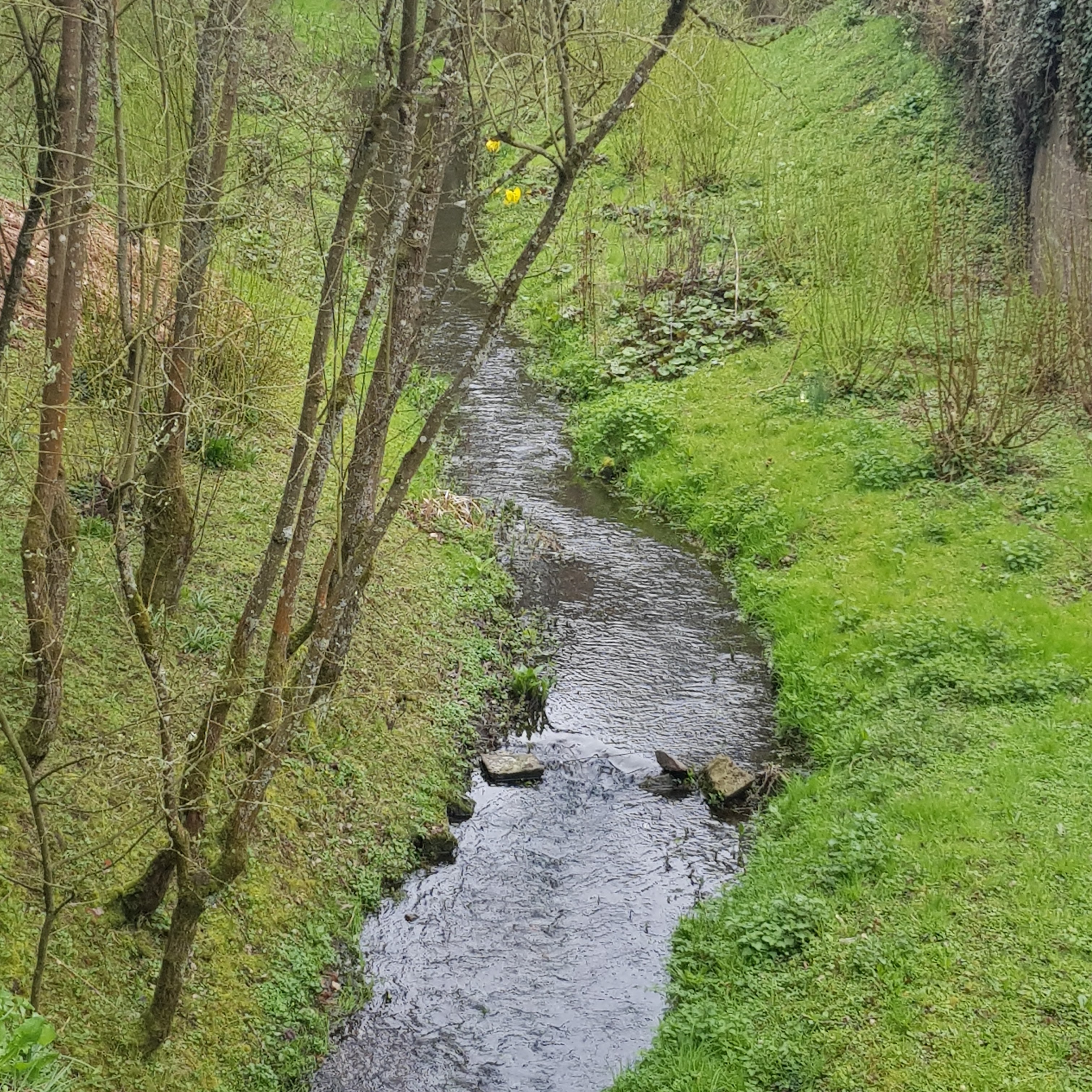 Photo n° 25 de l'avis de Gigi.t fait le 08/04/2023 à 11:16