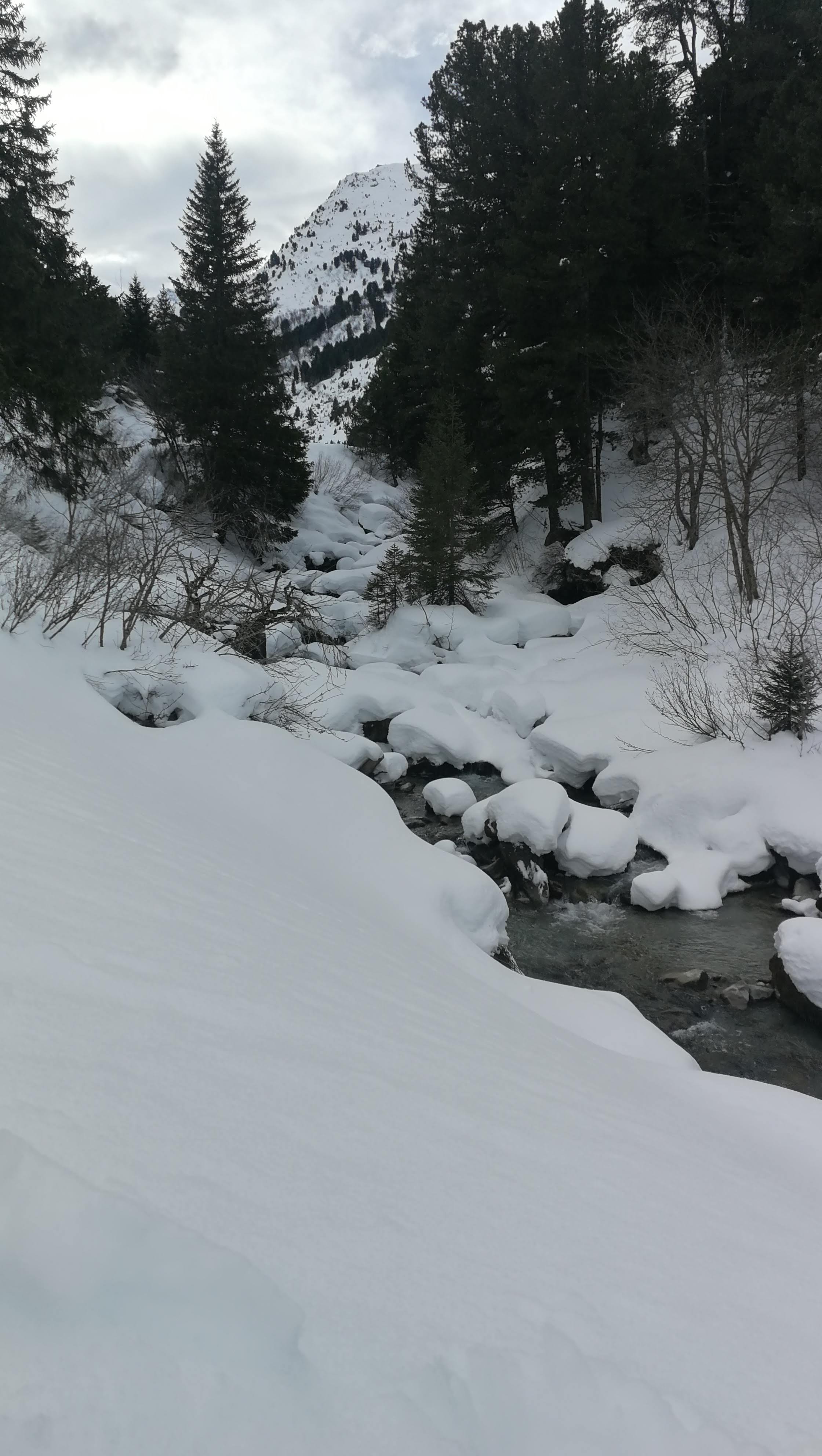 Photo n° 2 de l'avis de jean-noel.� fait le 08/02/2020 à 21:43