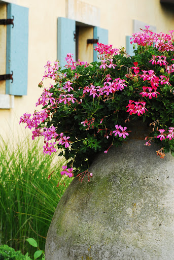 Vineyard «Wölffer Estate Vineyard», reviews and photos, 139 Sagg Rd, Sagaponack, NY 11962, USA