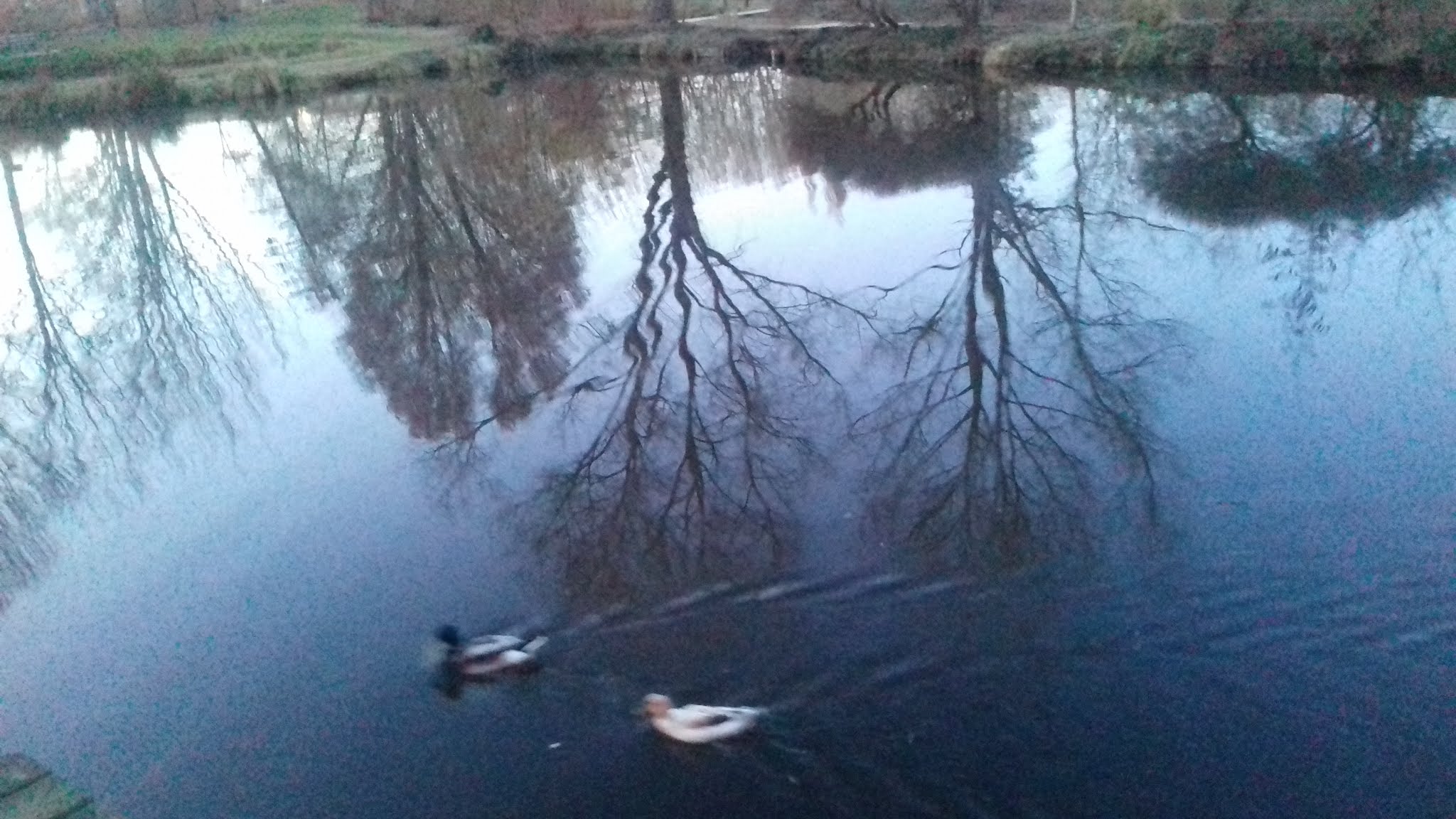 Photo n° 4 de l'avis de cecile.. fait le 01/05/2019 à 16:56
