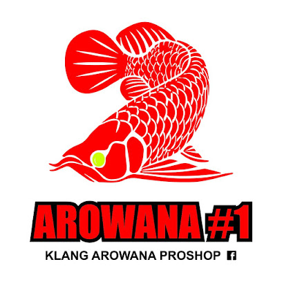 Klang Arowana ProShop