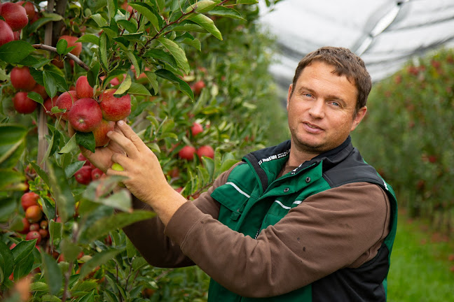 Obst- und Gemüsehof Schopferer Öffnungszeiten