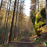 Photo n°5 de l'avis de Sven.s fait le 12/02/2022 à 23:19 sur le  Villa Thusnelda & Café Richter à Bad Schandau