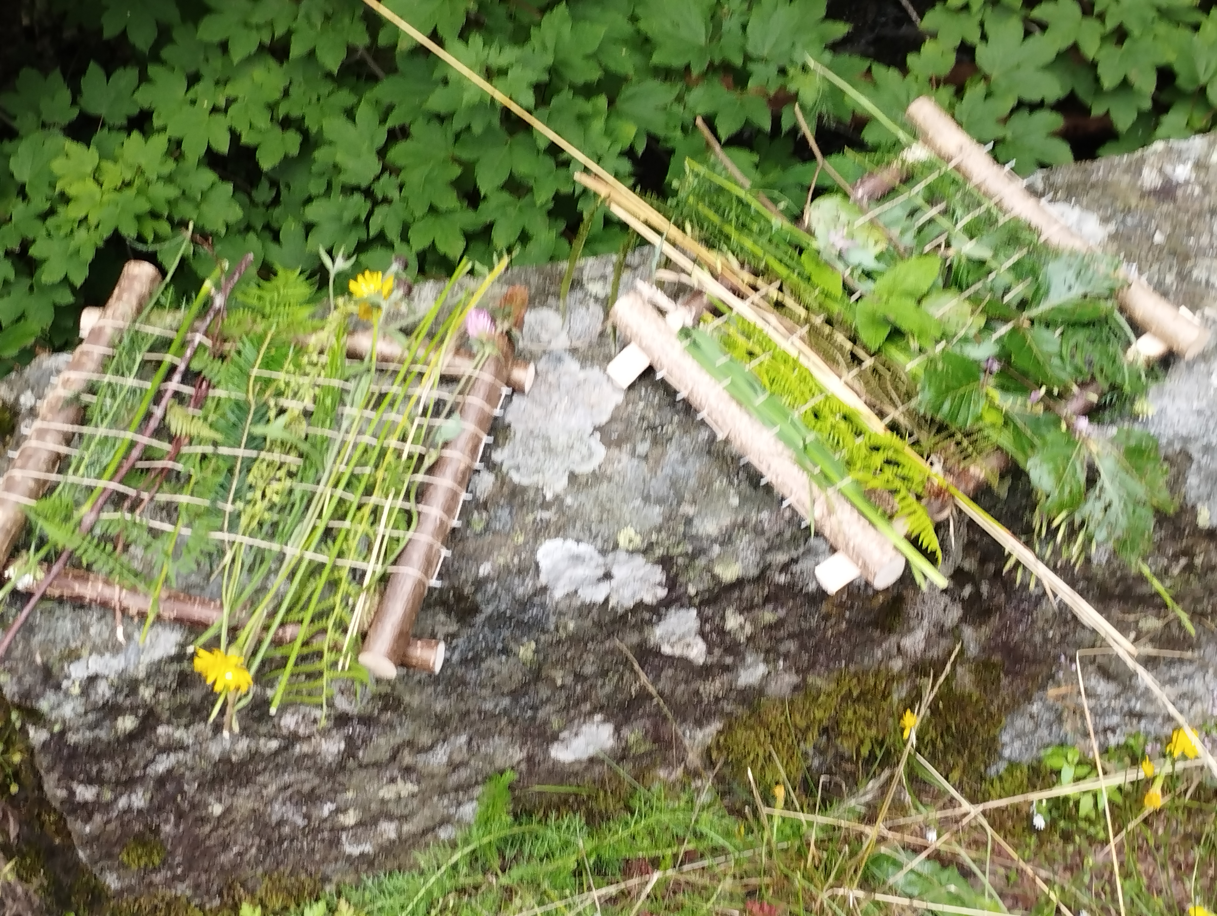 Photo n° 3 de l'avis de Didier.o fait le 02/08/2023 à 16:57