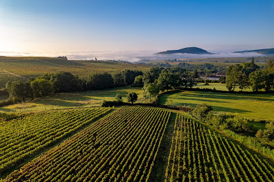 Domaine Dubost à Lantignié