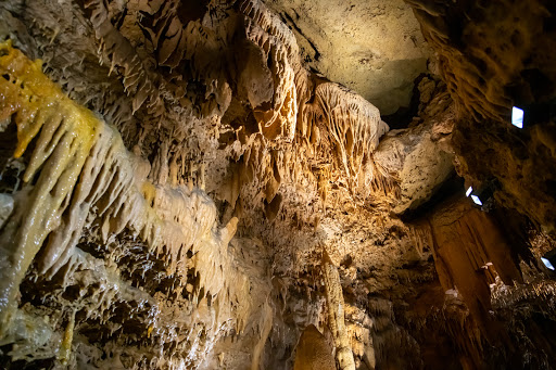 Nature Preserve «Natural Bridge Caverns», reviews and photos, 26495 Natural Bridge Caverns Rd, San Antonio, TX 78266, USA