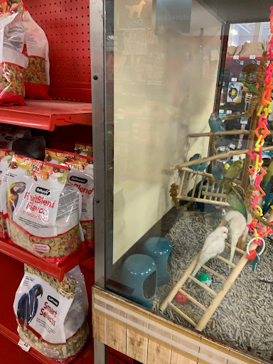 Pet Supply Store «Petco Animal Supplies», reviews and photos, 205 Goodman Rd W, Southaven, MS 38671, USA