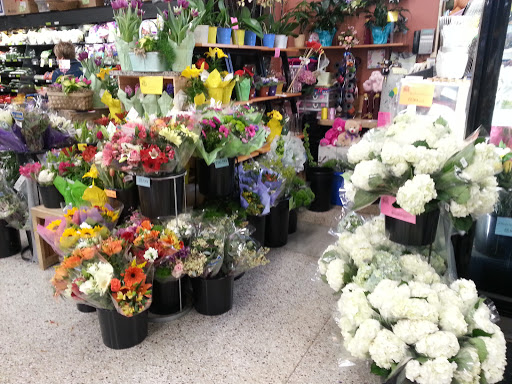 Grocery Store «Libbie Market», reviews and photos, 400 Libbie Ave, Richmond, VA 23226, USA