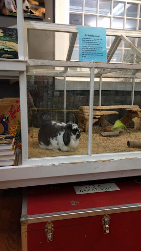 Gift Shop «The Wrinkled Egg», reviews and photos, 2710 NC-225, Flat Rock, NC 28731, USA