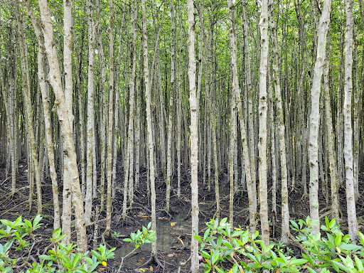 Top 20 cửa hàng play Huyện Cần Giờ Hồ Chí Minh 2022