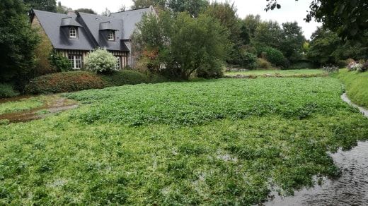Photo n° 7 de l'avis de Christophe.e fait le 26/09/2018 à 05:33