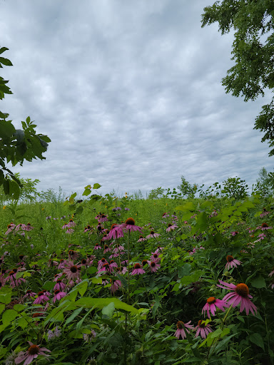 Visitor Center «Effigy Mounds National Monument Visitor Center», reviews and photos, 151 IA-76, Harpers Ferry, IA 52146, USA