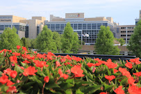 Focal Pointe - Photo 4 - Car repair in Springfield, MO, Springfield