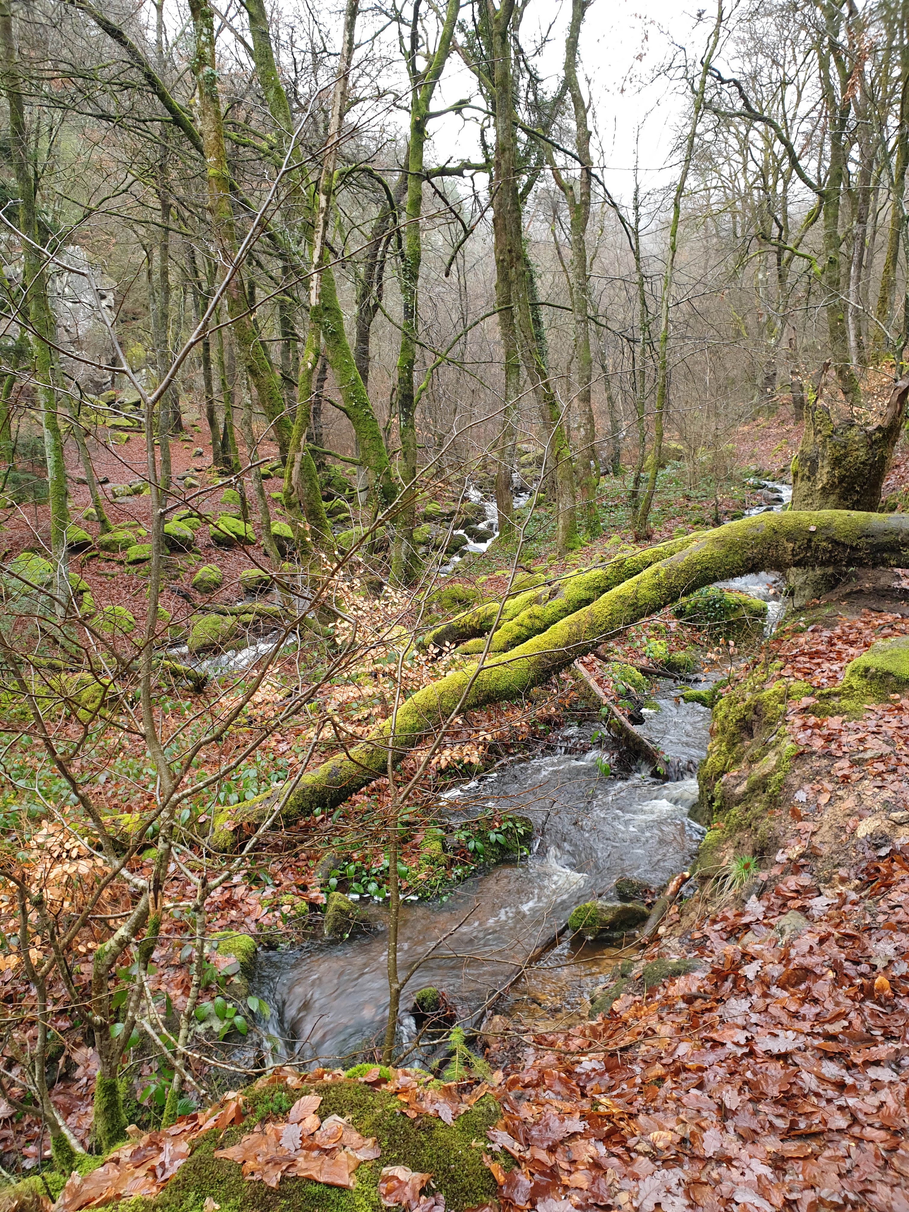 Photo n° 6 de l'avis de Bouet.a fait le 18/12/2019 à 18:36