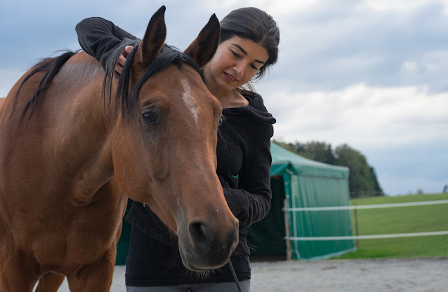 Kommentare und Rezensionen über Tiergesundheitszentrum Bern